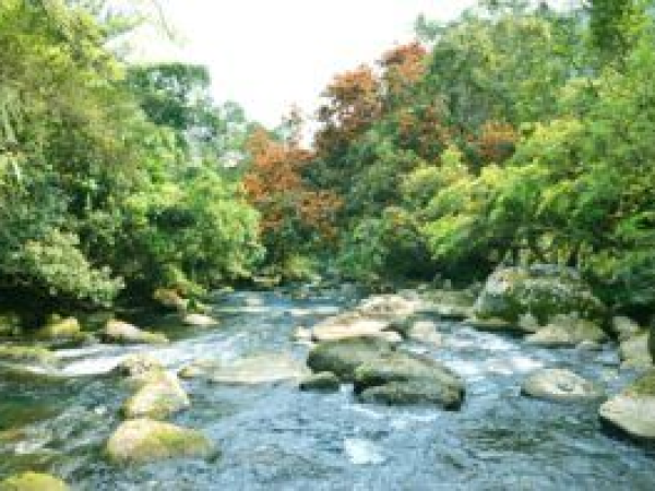 Điểm du lịch sinh thái Suối Nước Moọc