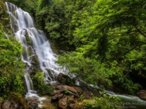 Điểm du lịch sinh thái và diễn giải môi trường Vườn thực vật