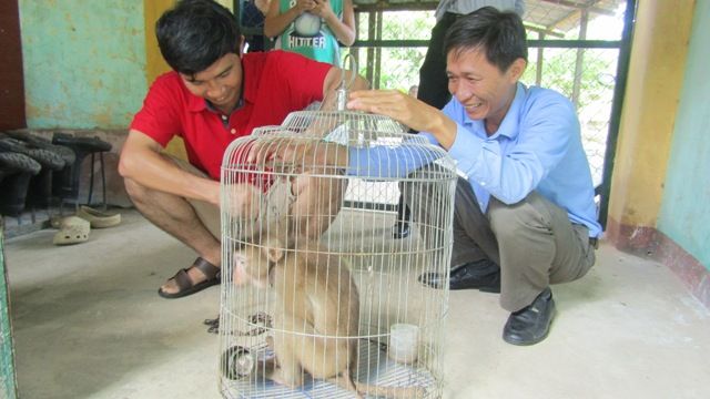 https://phongnhakebang.vn/uploads/preservation/wyswyg/2016_10/khicc8920c491uc3b4i20lc6a1cca3n_1475553644.jpg