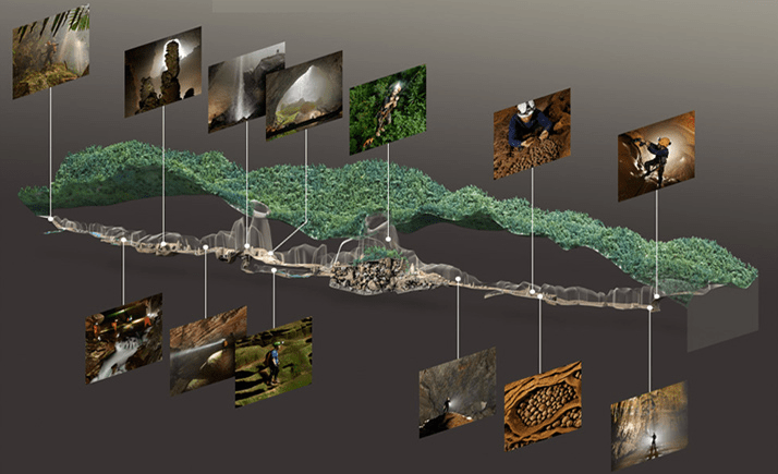 A close-up of several images
Description automatically generated
