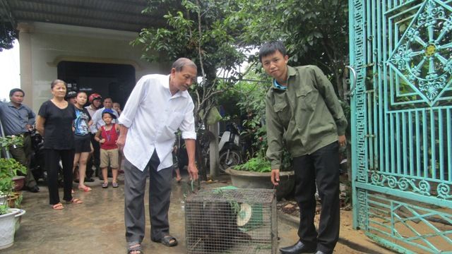 https://phongnhakebang.vn/uploads/preservation/wyswyg/2016_10/tic3aacc81p20nhc3a2cca3n20c491v_1476436182.jpg