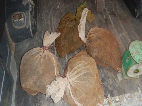 Several bags of leaves on the ground
Description automatically generated