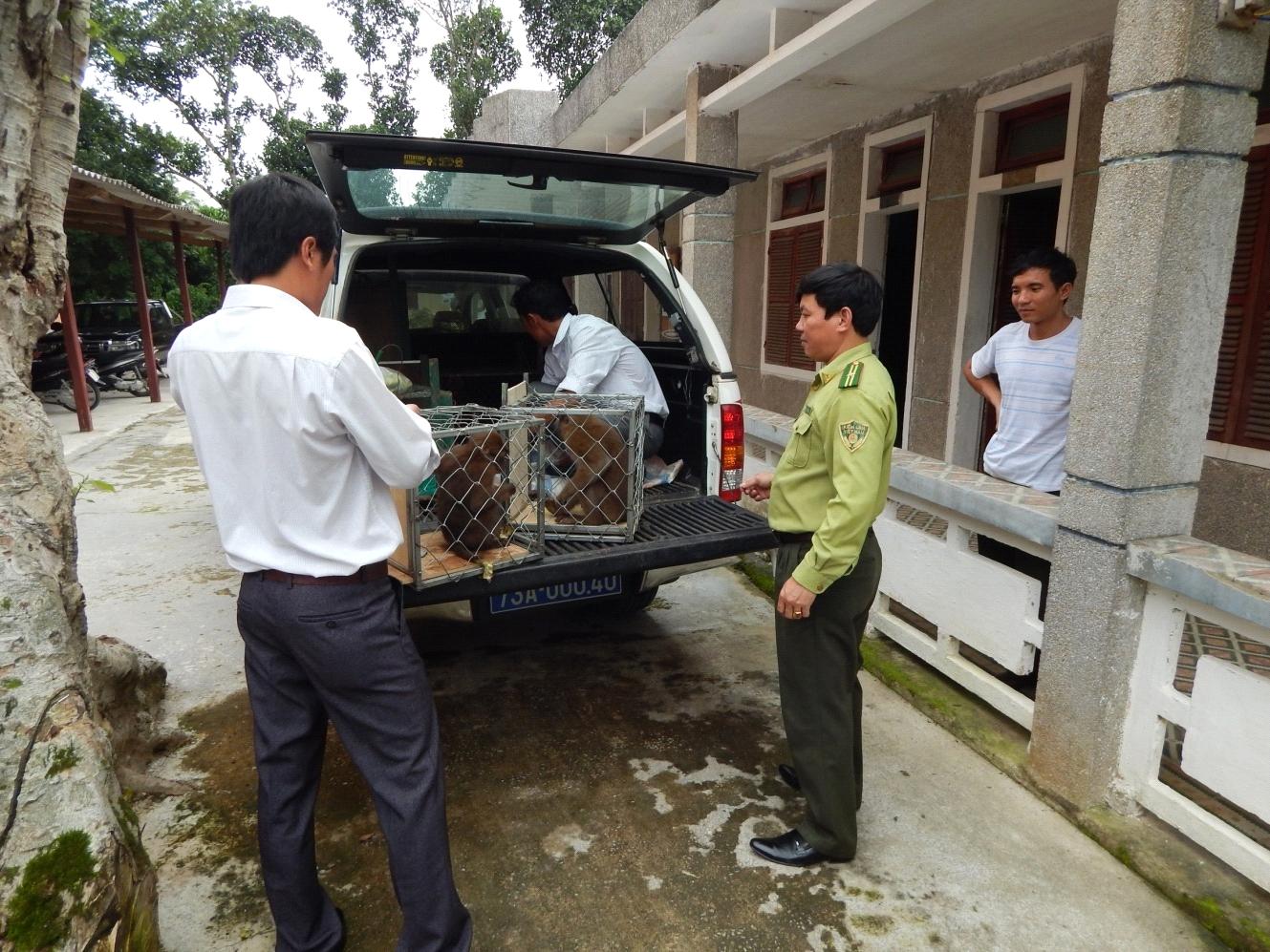 https://phongnhakebang.vn/uploads/preservation/wyswyg/2016_10/dong20vat2_1476437212.jpg