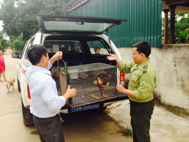 https://phongnhakebang.vn/uploads/preservation/wyswyg/2016_10/tiep20nhan20dv1_1476436713.jpg