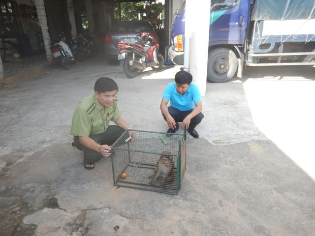 https://phongnhakebang.vn/uploads/preservation/wyswyg/2016_10/tiep20nhan20dv20moi1_1476436654.jpg