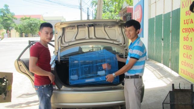 https://phongnhakebang.vn/uploads/preservation/wyswyg/2016_10/tiep20nhan1_1476436522.jpg