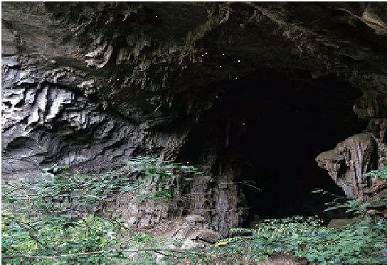 A cave with a dark entrance
Description automatically generated with medium confidence
