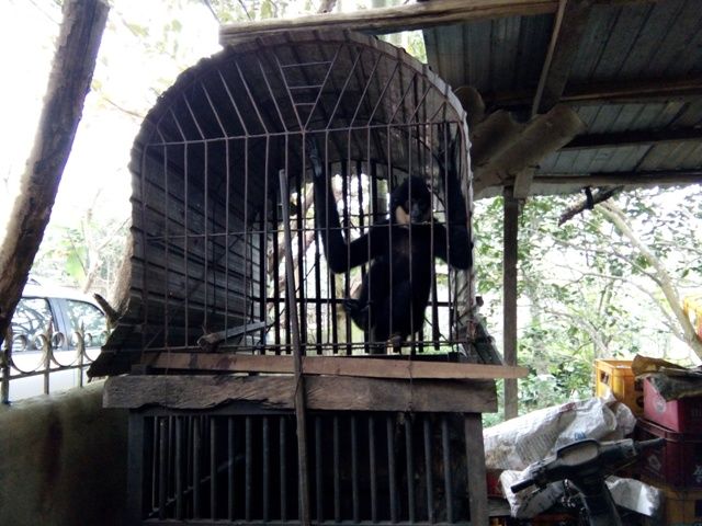 https://phongnhakebang.vn/uploads/news/2017_01/vuon-den-ma-trang1.jpg?1484899520964