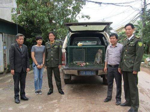 https://phongnhakebang.vn/uploads/news/2017_01/tiep-nhan-dv4.jpg?1484099829737