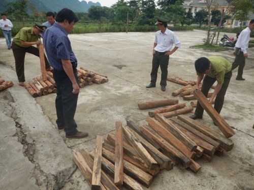 A group of men placing wood on a concrete floor
Description automatically generated