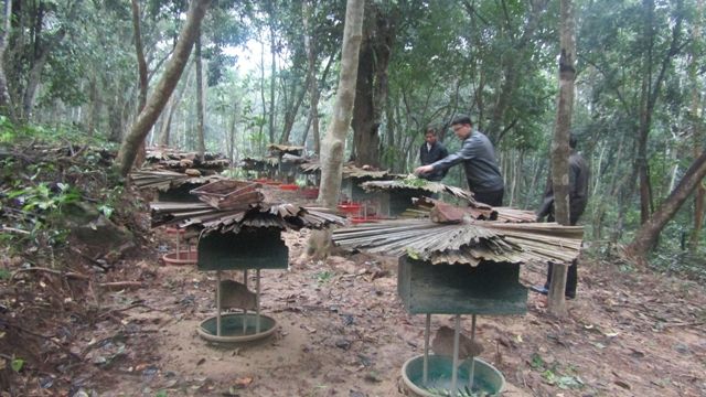 https://phongnhakebang.vn/uploads/news/2017_03/anh-ong-1.jpg?1489633327049