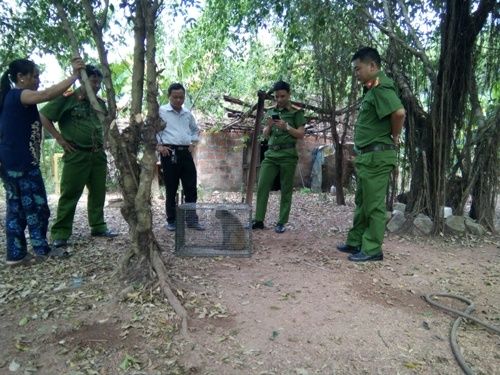 A group of men in green uniforms
Description automatically generated