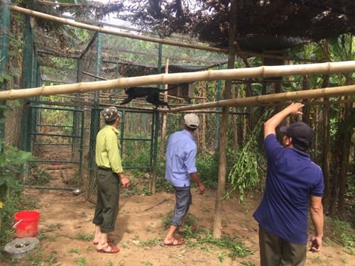 A group of men looking at a black cat

Description automatically generated