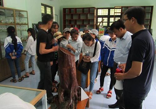 https://phongnhakebang.vn/uploads/news/2017_05/da-ngoai3.jpg?1496028875861