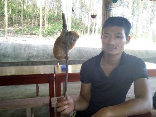 A person holding a monkey on a stick

Description automatically generated