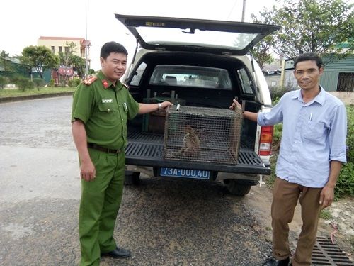 A person holding a cage with a squirrel in the back of a truck
Description automatically generated