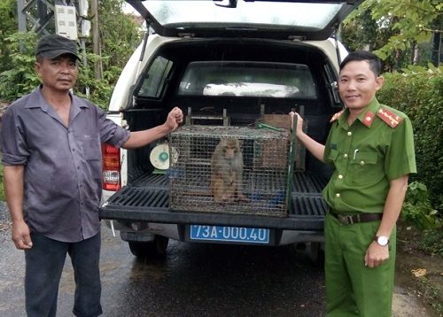 A person and a monkey in a cage
Description automatically generated
