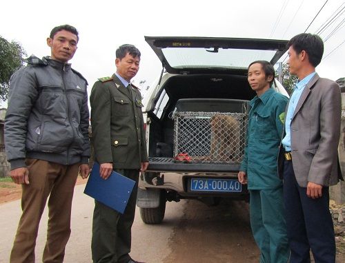 A group of men standing next to a dog in a car

Description automatically generated