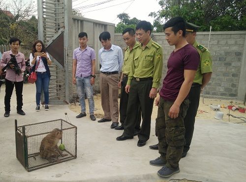 A group of people standing around a monkey in a cage Description automatically generated