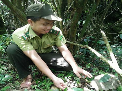 A person in a uniform squatting in the woods

Description automatically generated