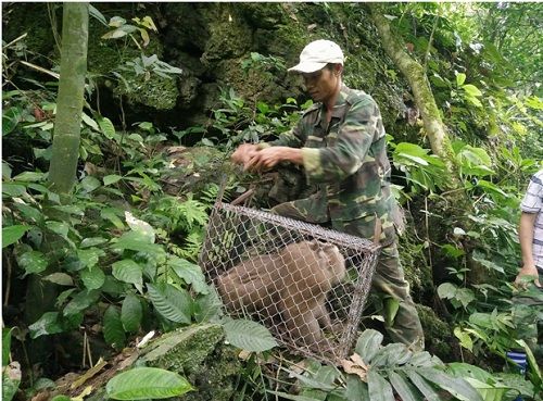A person in a camouflaged shirt holding a monkey in a cage

Description automatically generated