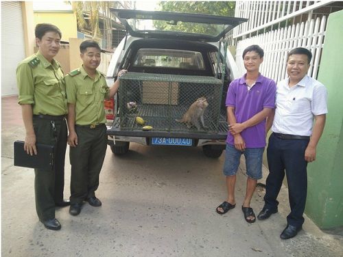 A group of men standing next to a car with a monkey in the back

Description automatically generated