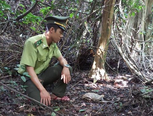 A person in a uniform squatting in the woods
Description automatically generated