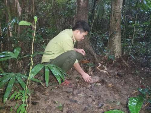 A person squatting in the woods Description automatically generated