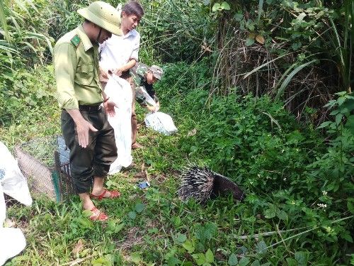 https://phongnhakebang.vn/uploads/news/2019_05/anh-tha.jpg?1558473891734