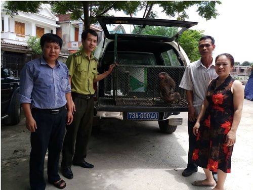 A group of people standing next to a car with a monkey in the back
Description automatically generated