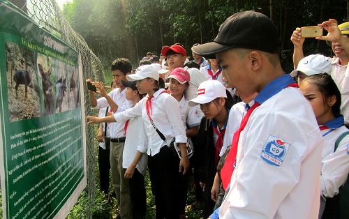https://phongnhakebang.vn/uploads/news/2019_04/da-ngoai2.jpg?1555387389462