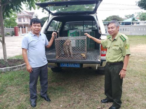A person holding a cage with monkeys in the back of a car

Description automatically generated