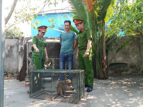 A group of people standing in front of a monkey
Description automatically generated