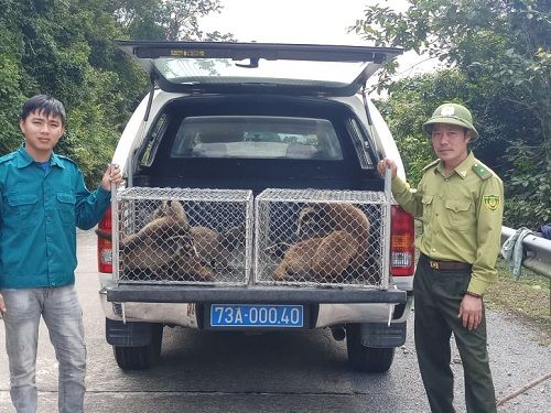 A couple of people standing next to a truck with a cage full of animals
Description automatically generated