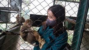 A person holding a monkey

Description automatically generated