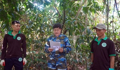 https://phongnhakebang.vn/uploads/news/2020_07/phoi-hop-tha-dvhd2.jpg?1594609933864