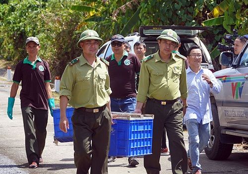 https://phongnhakebang.vn/uploads/news/2020_07/phoi-hop-tha-dvhd3.jpg?1594609955786