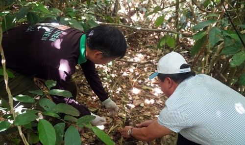 https://phongnhakebang.vn/uploads/news/2020_07/phoi-hop-tha-dvhd5.jpg?1594610004553