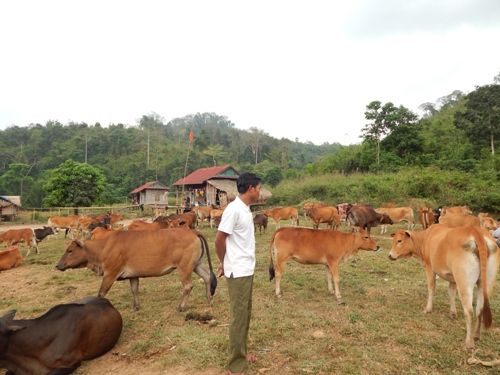 https://phongnhakebang.vn/uploads/news/2021_06/h-tr-nuoi-bo-ti-thng-trch.jpg?1623982863428