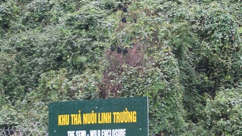 A sign in front of a forest

Description automatically generated