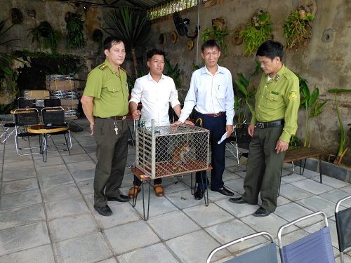 A group of men standing around a cage
Description automatically generated
