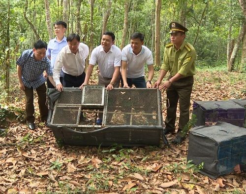 A group of men looking at a cage

Description automatically generated