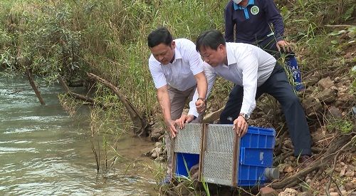 A group of men collecting fish

Description automatically generated