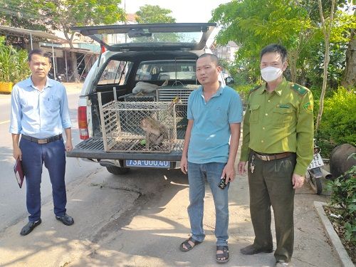 A group of men standing next to a caged animal
Description automatically generated