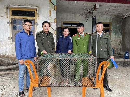 A group of people standing in front of a cage with a monkey
Description automatically generated