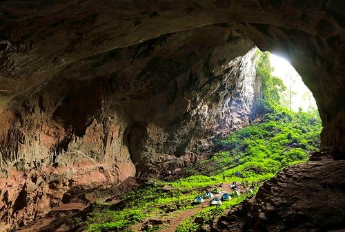 A cave with green plants and tents Description automatically generated