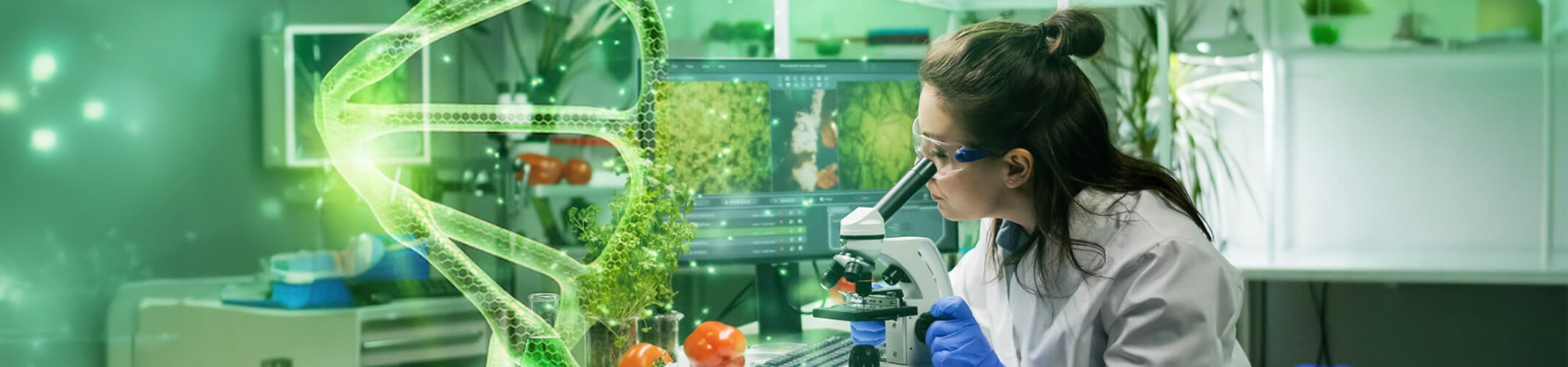 Hợp tác trong nước