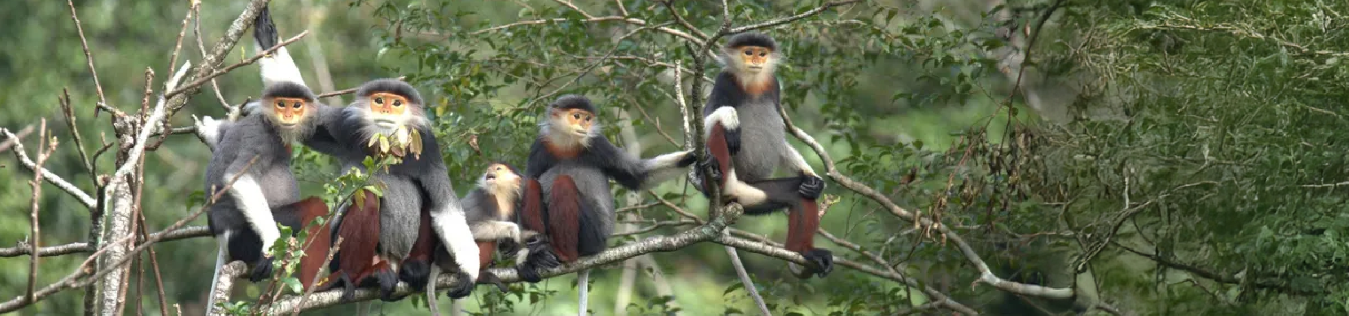 Năng lực cứu hộ