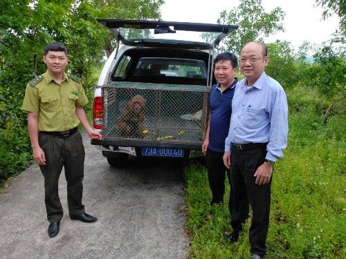 A group of men standing next to a car with a monkey in the back

Description automatically generated