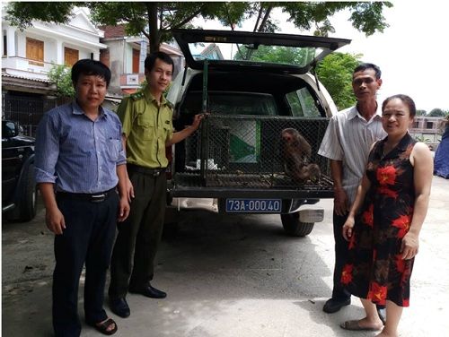 A group of people standing next to a car with a monkey in the back

Description automatically generated